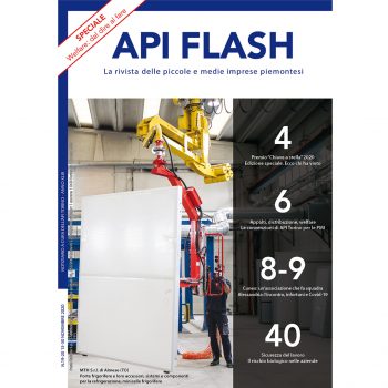API Flash Novembre 2020