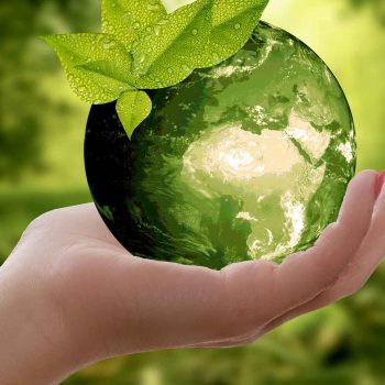 Green New Deal: progetti di ricerca, sviluppo e innovazione per la transizione ecologica e circolare