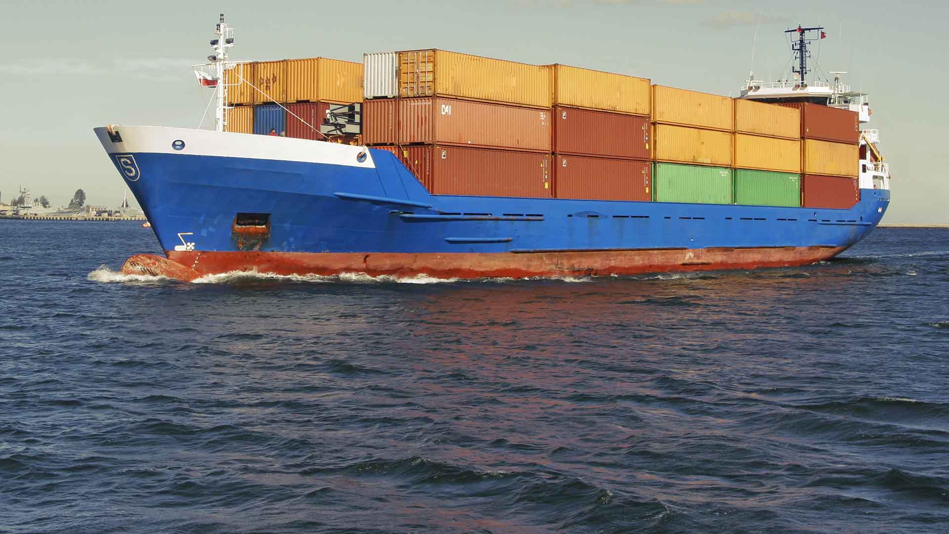 Export in Egitto