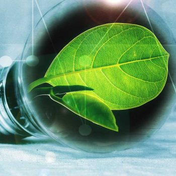 Energia, quali investimenti fare per risparmiare?