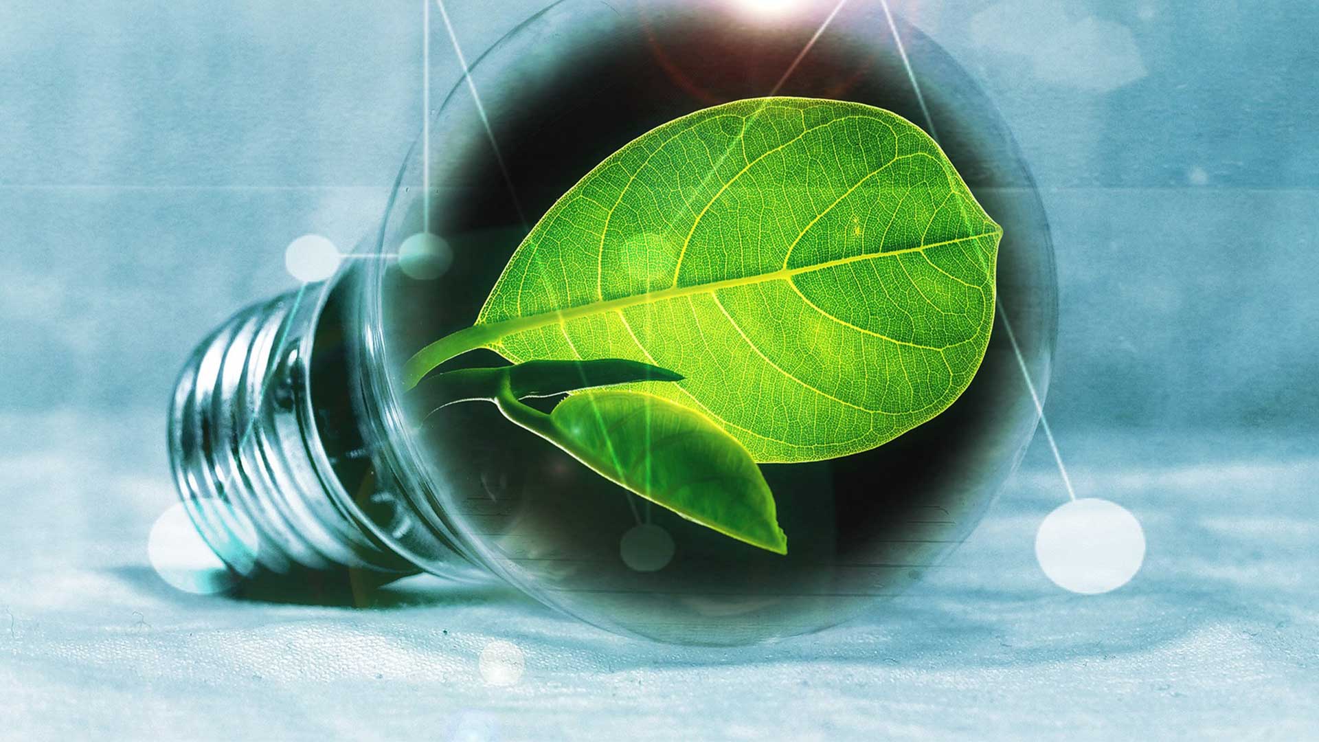 Energia, quali investimenti fare per risparmiare?
