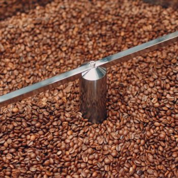 Regione Piemonte, approvata la Scheda Tecnica sottoprodotti della filiera del caffè