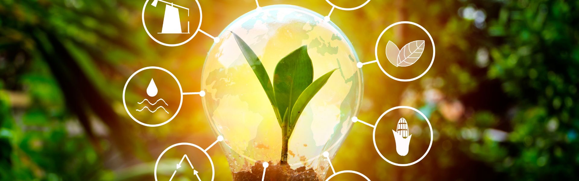 Efficienza energetica ed energie rinnovabili, proroga degli incentivi