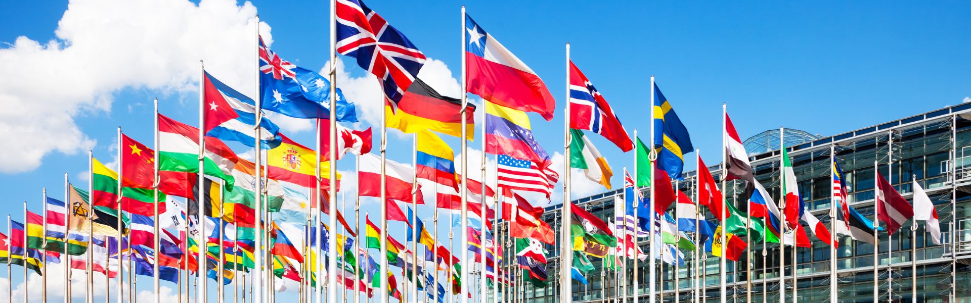 Progetto “International Business Growth”, requisiti e modalità di partecipazione
