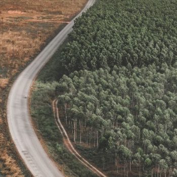 EUDR Deforestazione, pubblicata la classificazione del rischio dei Paesi