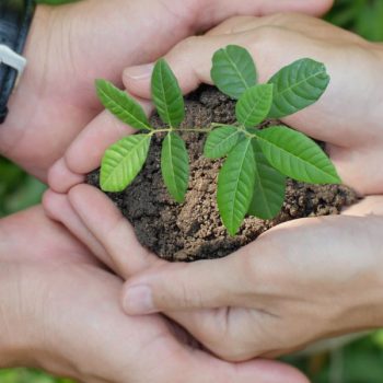 “Agroalimentare e turismo per un territorio più sostenibile”