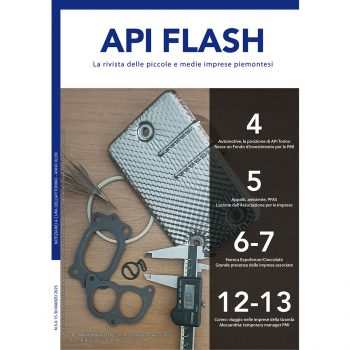 API Flash Marzo 2025