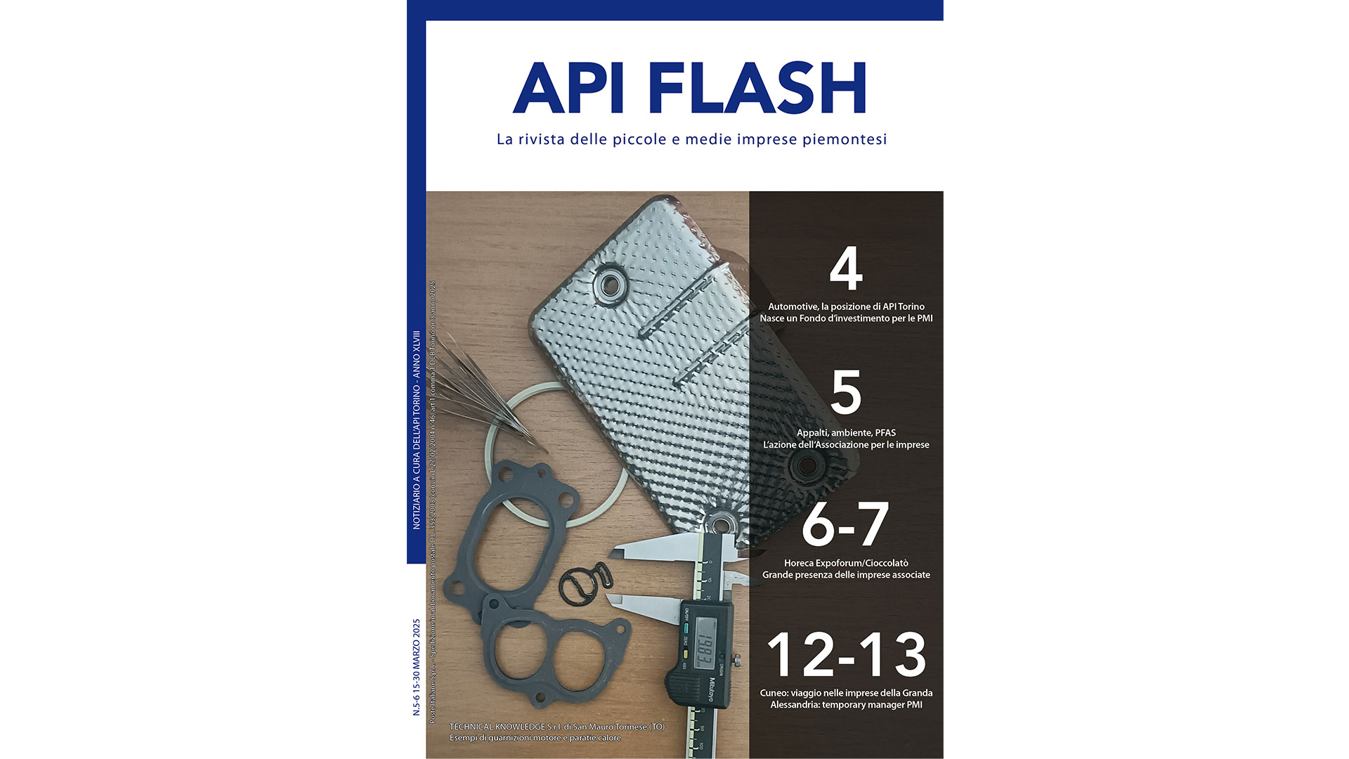 API Flash Marzo 2025