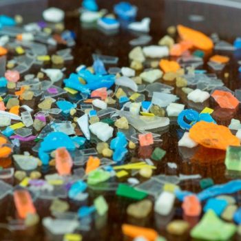 La restrizione sulle microplastiche all’interno del Regolamento REACH