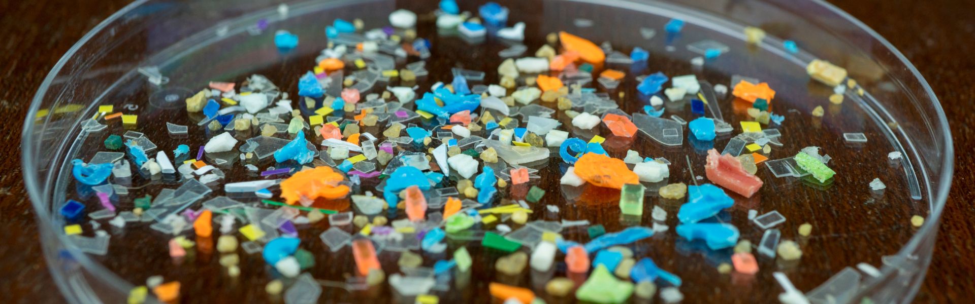 La restrizione sulle microplastiche all’interno del Regolamento REACH