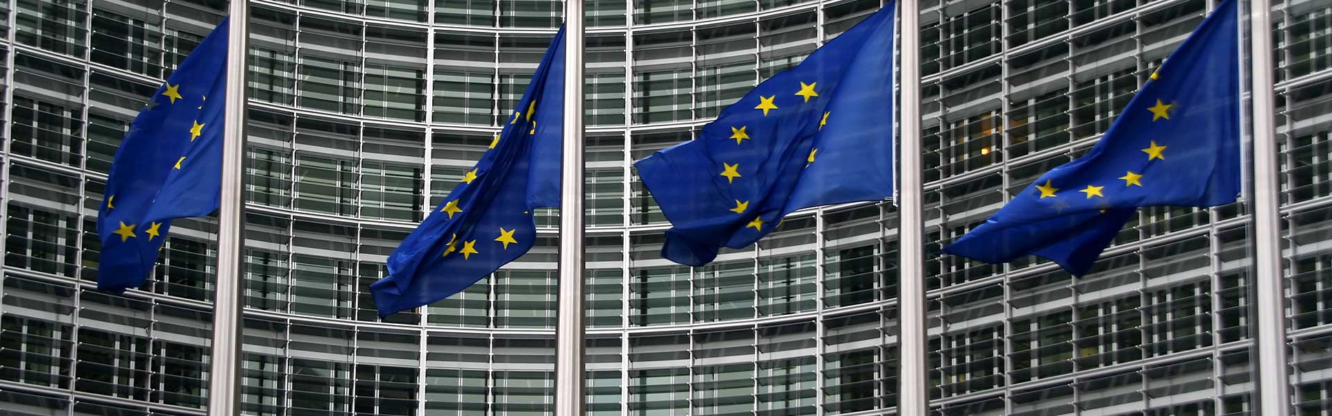 Accordo Mercosur, approvazione rinviata