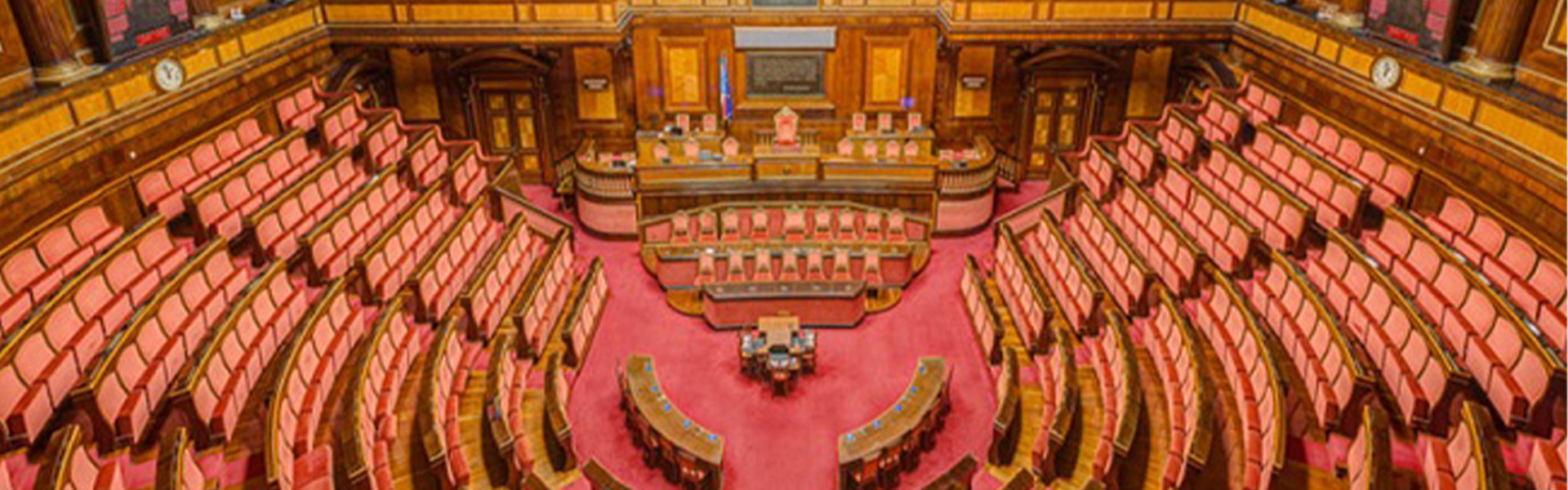 PMI, audizione in Senato